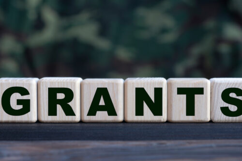 The word GRANTS on cubes on a beautiful camouflage background. Business concept.